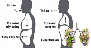 Hướng dẫn phương pháp thở dưỡng sinh trong Đông Y