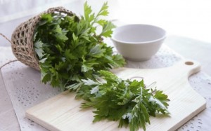 Tìm hiểu phương pháp cứu ngải trong điều trị bệnh